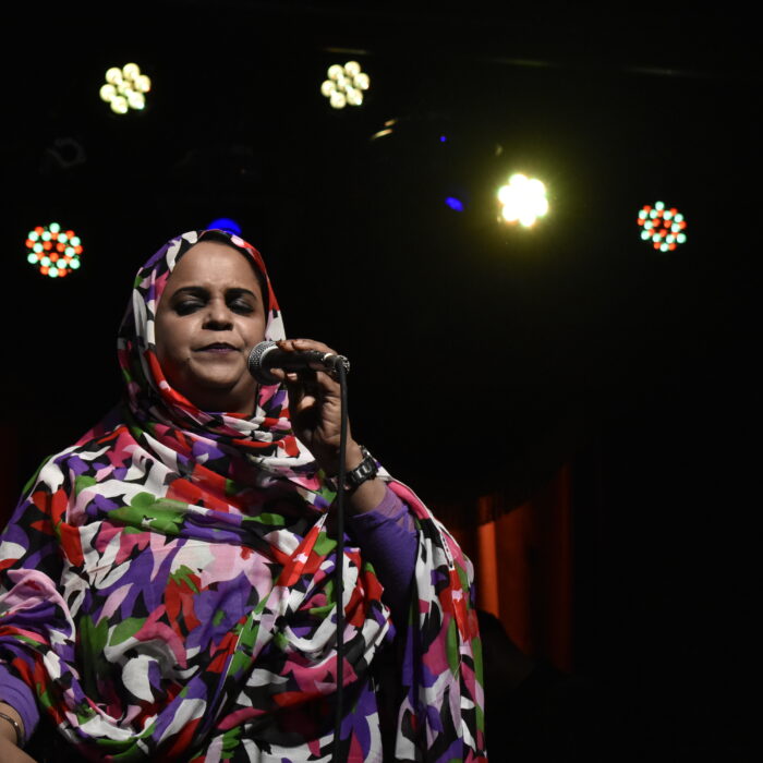 Photo Essay: Noura Mint Seymali at Brooklyn Bowl