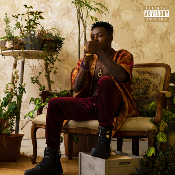 Reekado Banks, A Young Force on the Nigerian Pop Scene