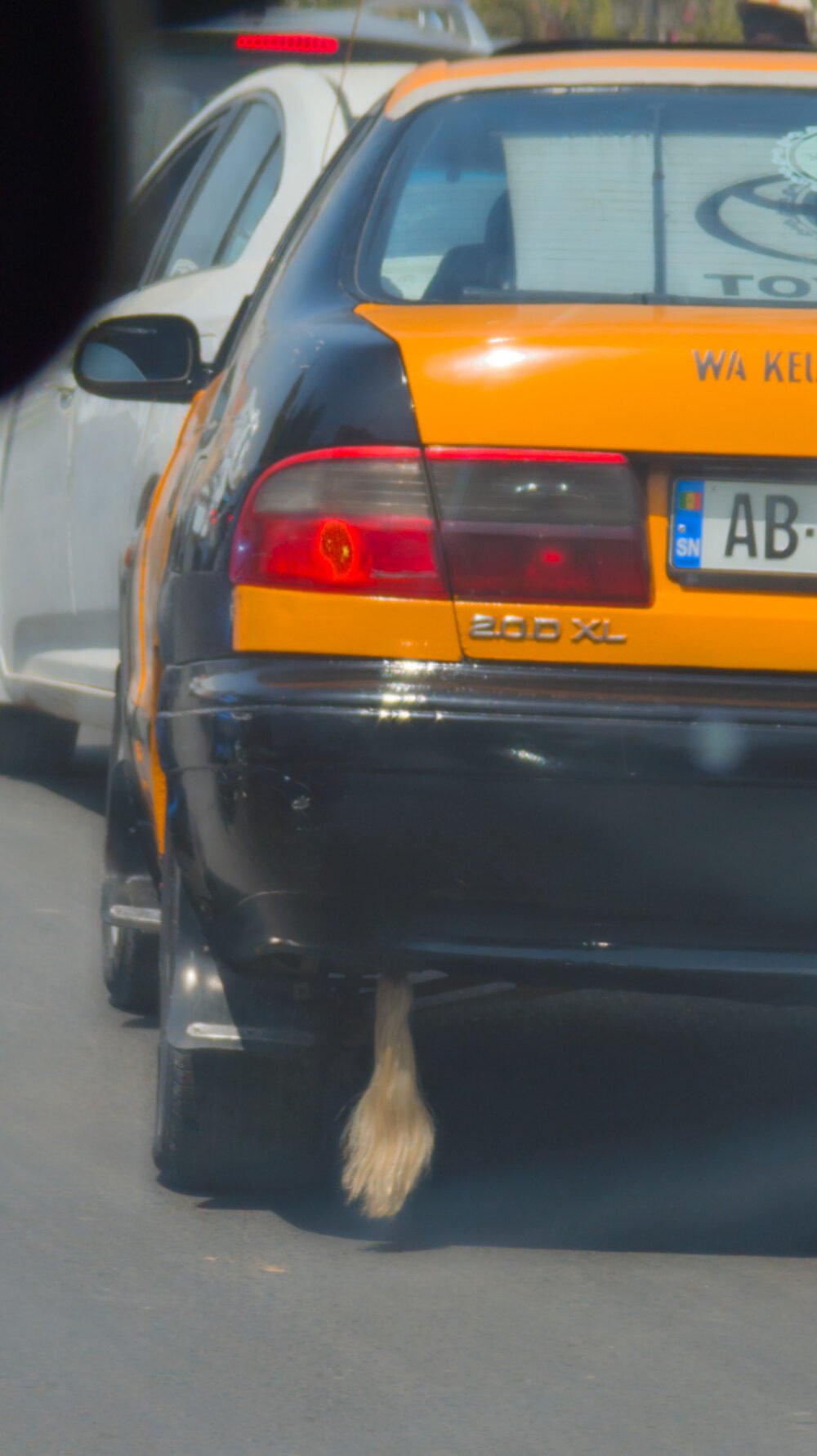 If you see a cow's tail hanging from a taxi, it's to bring mystical protection
