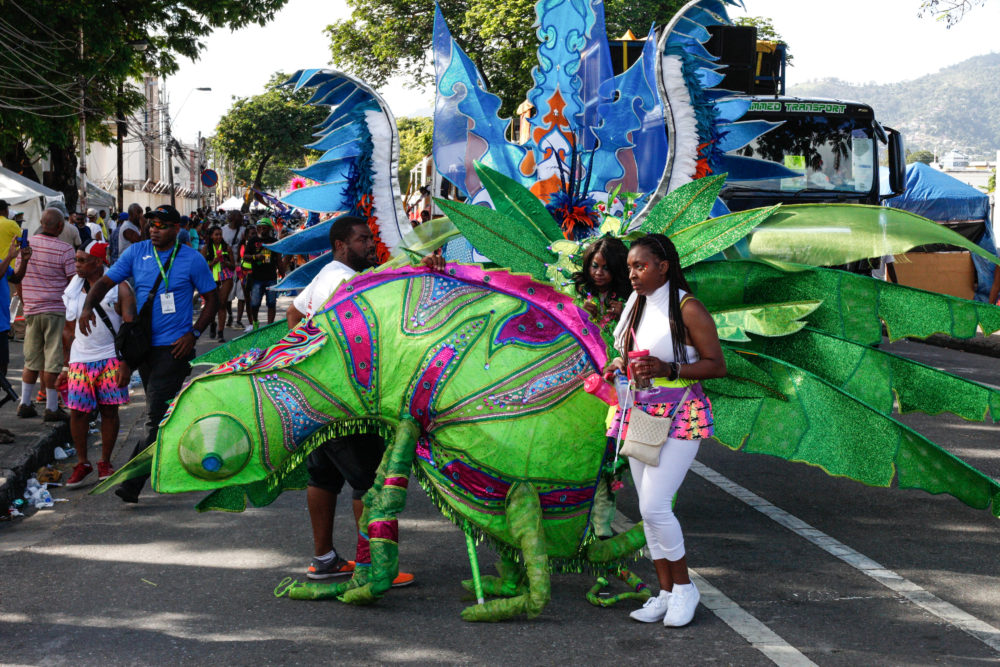 A colorful chameleon