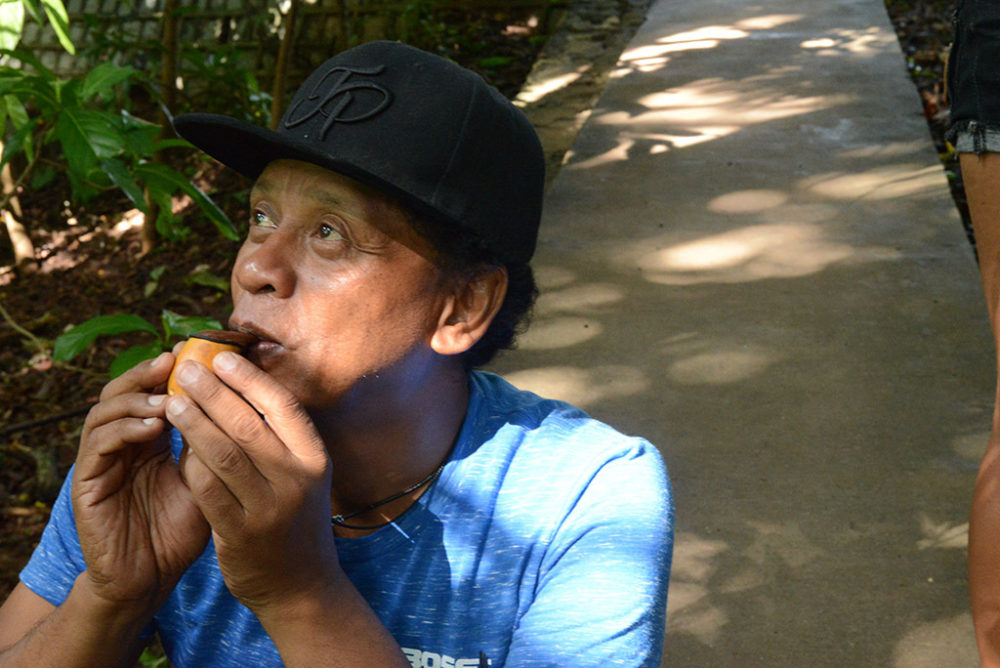 Sammy courts a chameleon...