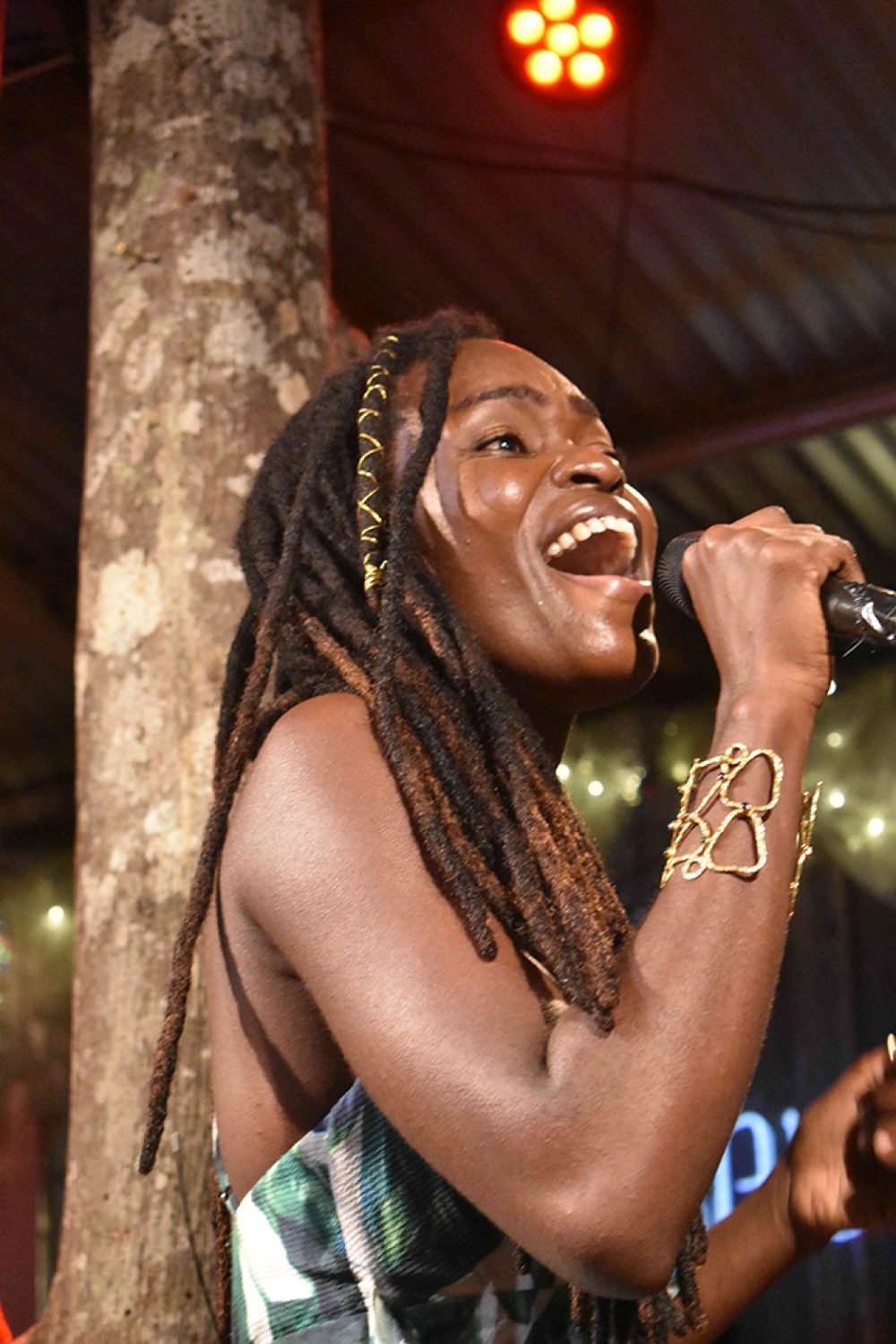 Sabrina Francis live at the Treehouse, Photo ©David Katz