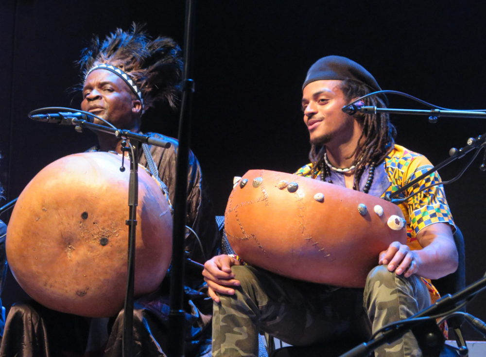 Chartwell Dutiro and Shorai Dutiro Robinson in Brooklyn (Eyre 2017)