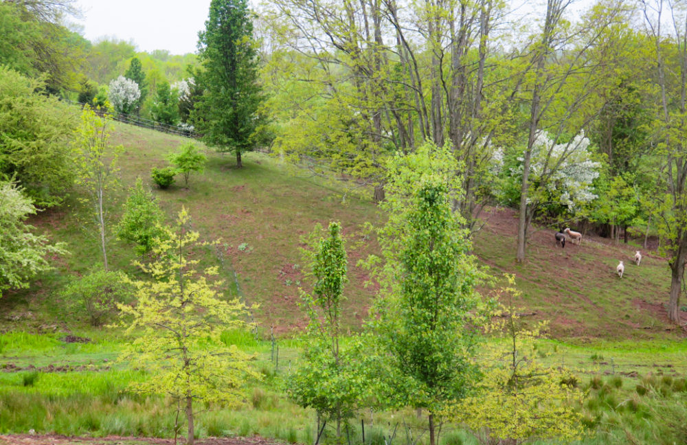 Chartwell Hill, South Windsor, CT.